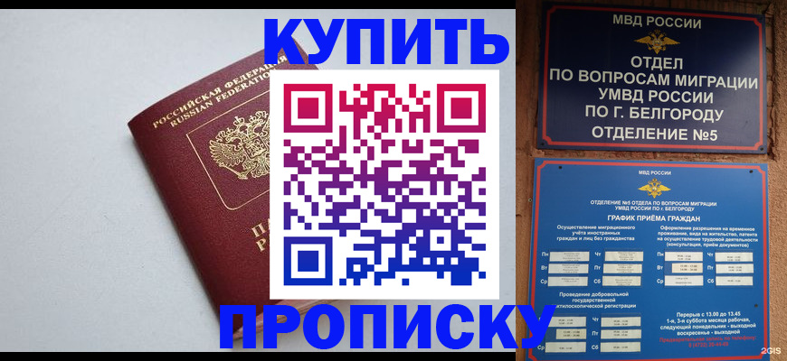 прописка регистрация в Чистополье